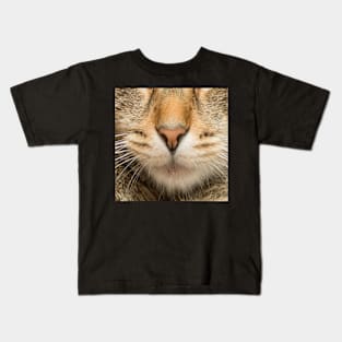 Tomcat - domestic cat Kids T-Shirt